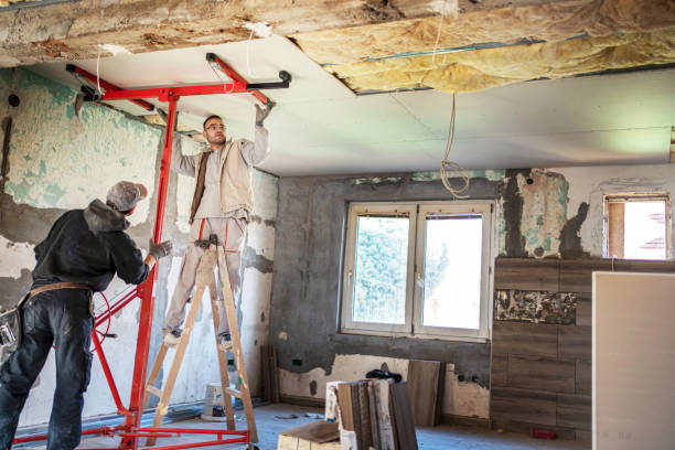 Best Basement Insulation  in Fort Mill, SC