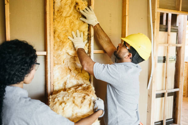 Best Attic Insulation Installation  in Fort Mill, SC